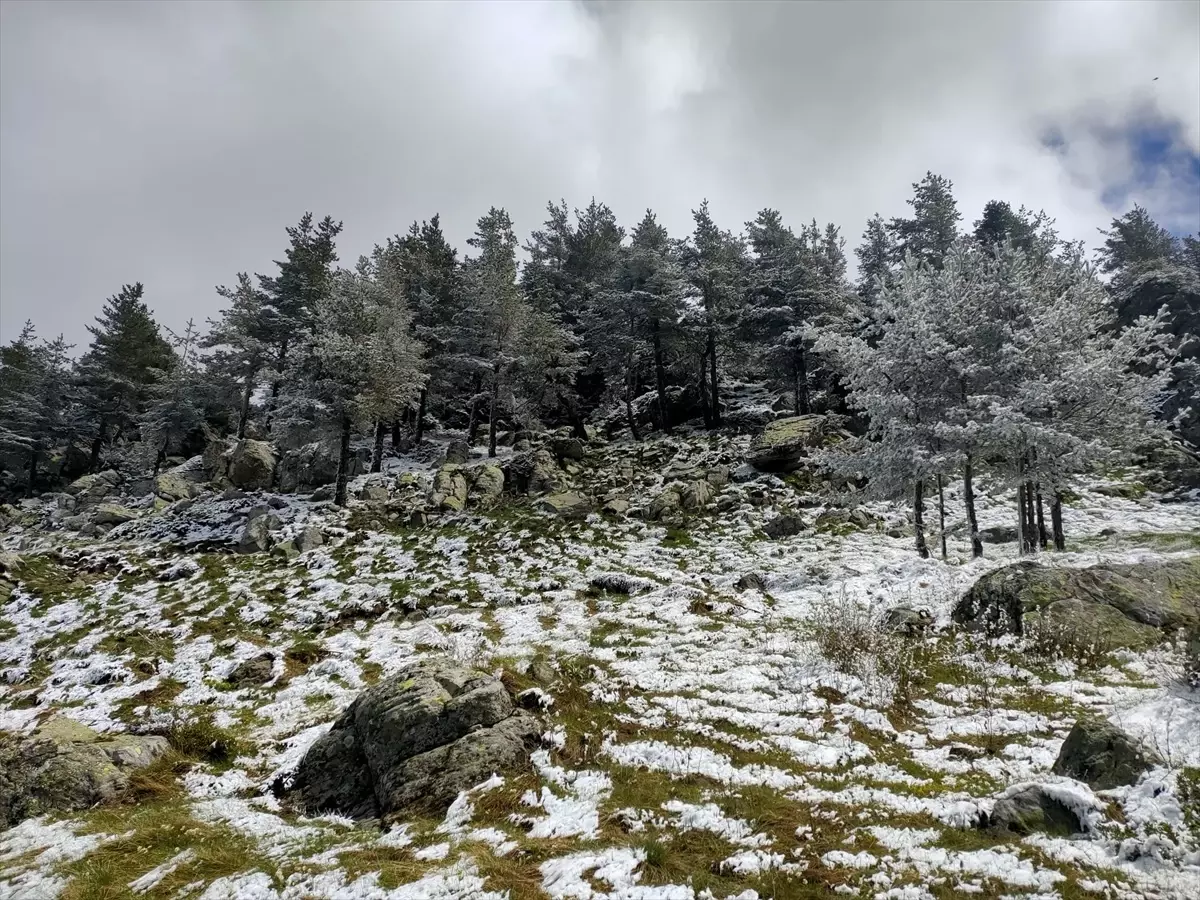 Bolu\'nun yüksek kesimlerinde kar yağışı etkisini gösterdi