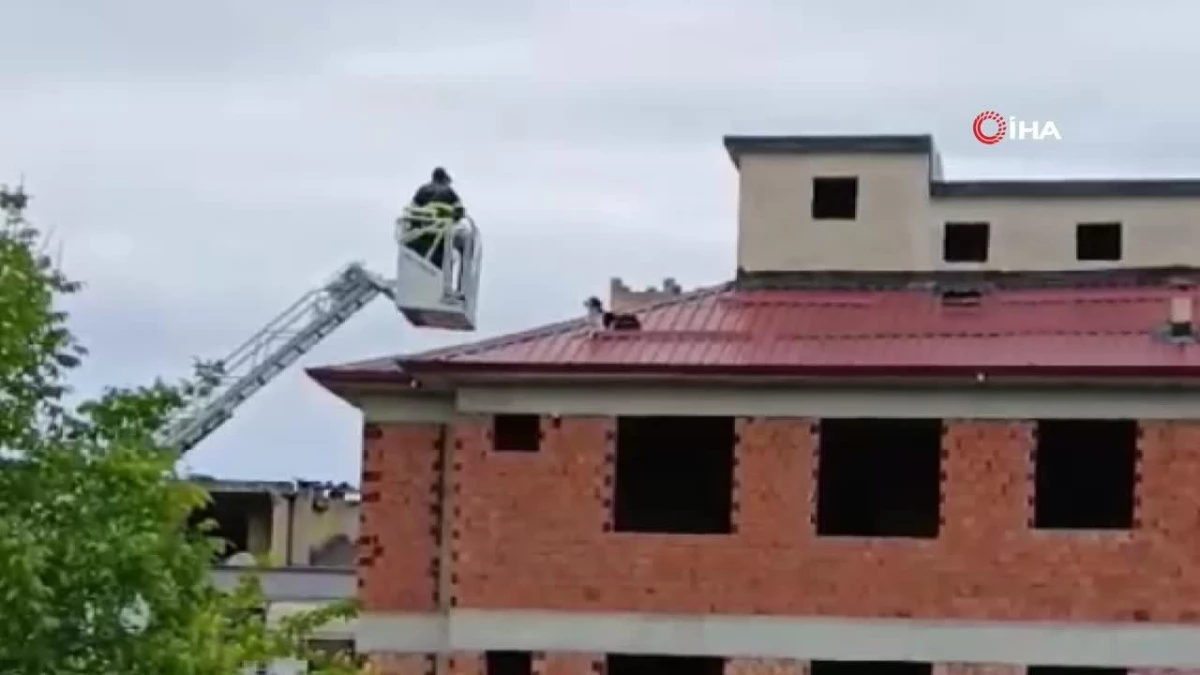 Çatıda mahsur kalan köpek kurtarıldı