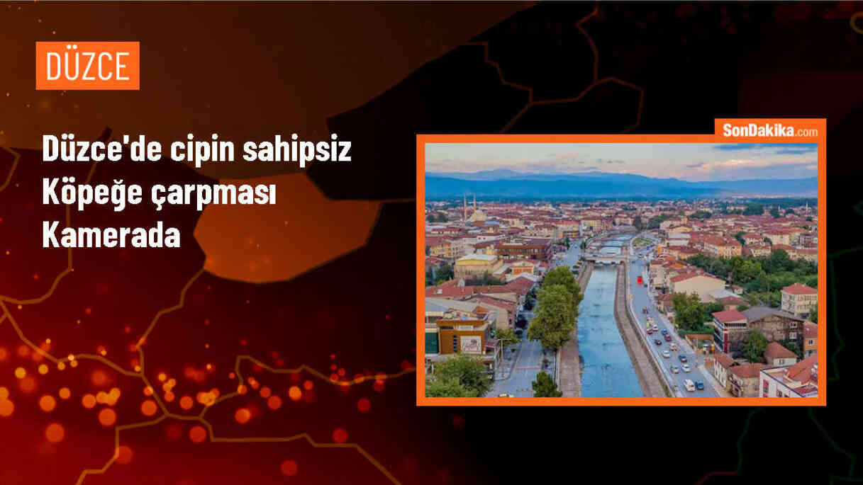 Düzce\'de cipin sahipsiz köpeğe çarpması kamerada
