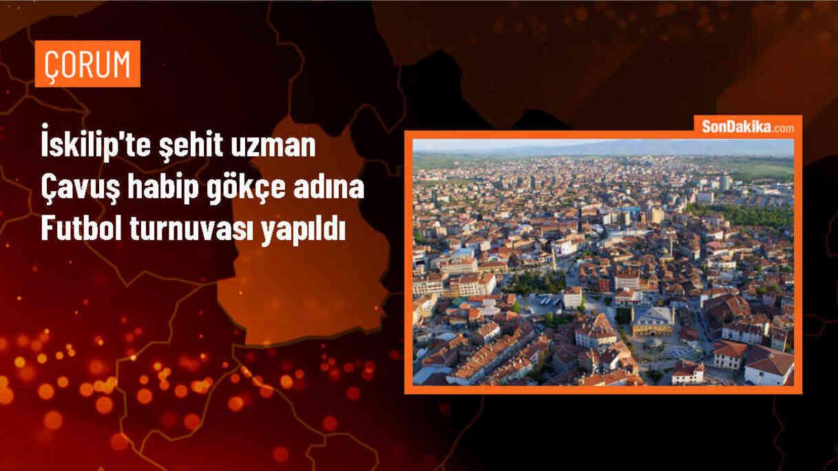 Çorum\'un İskilip ilçesinde Şehit Uzman Çavuş Habip Gökçe adına düzenlenen futbol turnuvasında Türk Eğitim-Sen şampiyon oldu