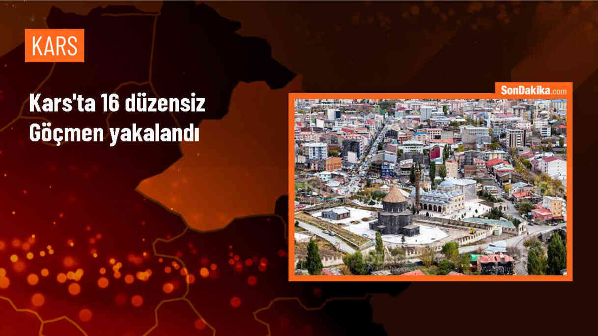 Kars\'ta yasa dışı yollarla yurda giren 16 düzensiz göçmen yakalandı