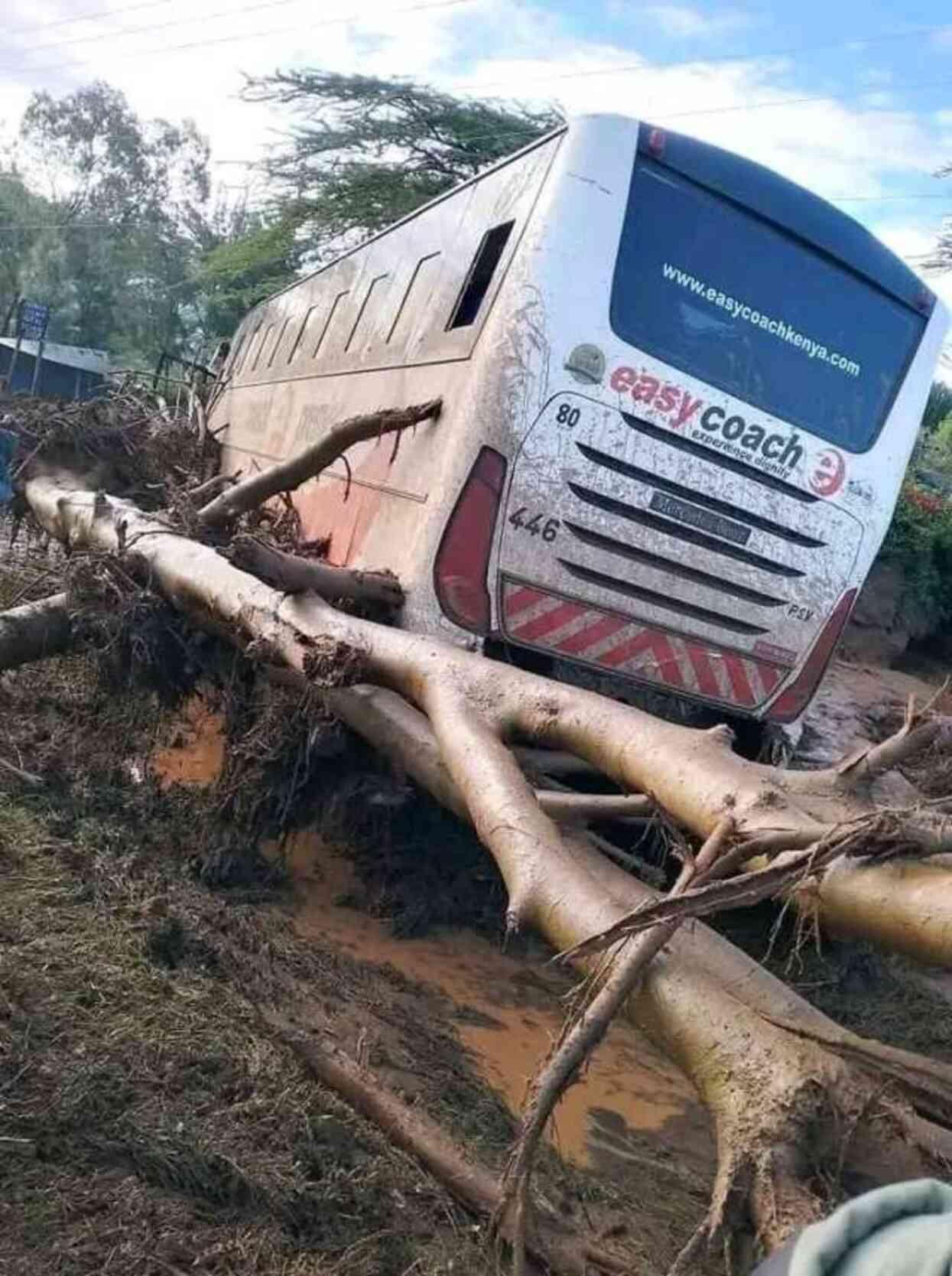 Kenya'da sel felaketinde ölü sayısı 289'a yükseldi