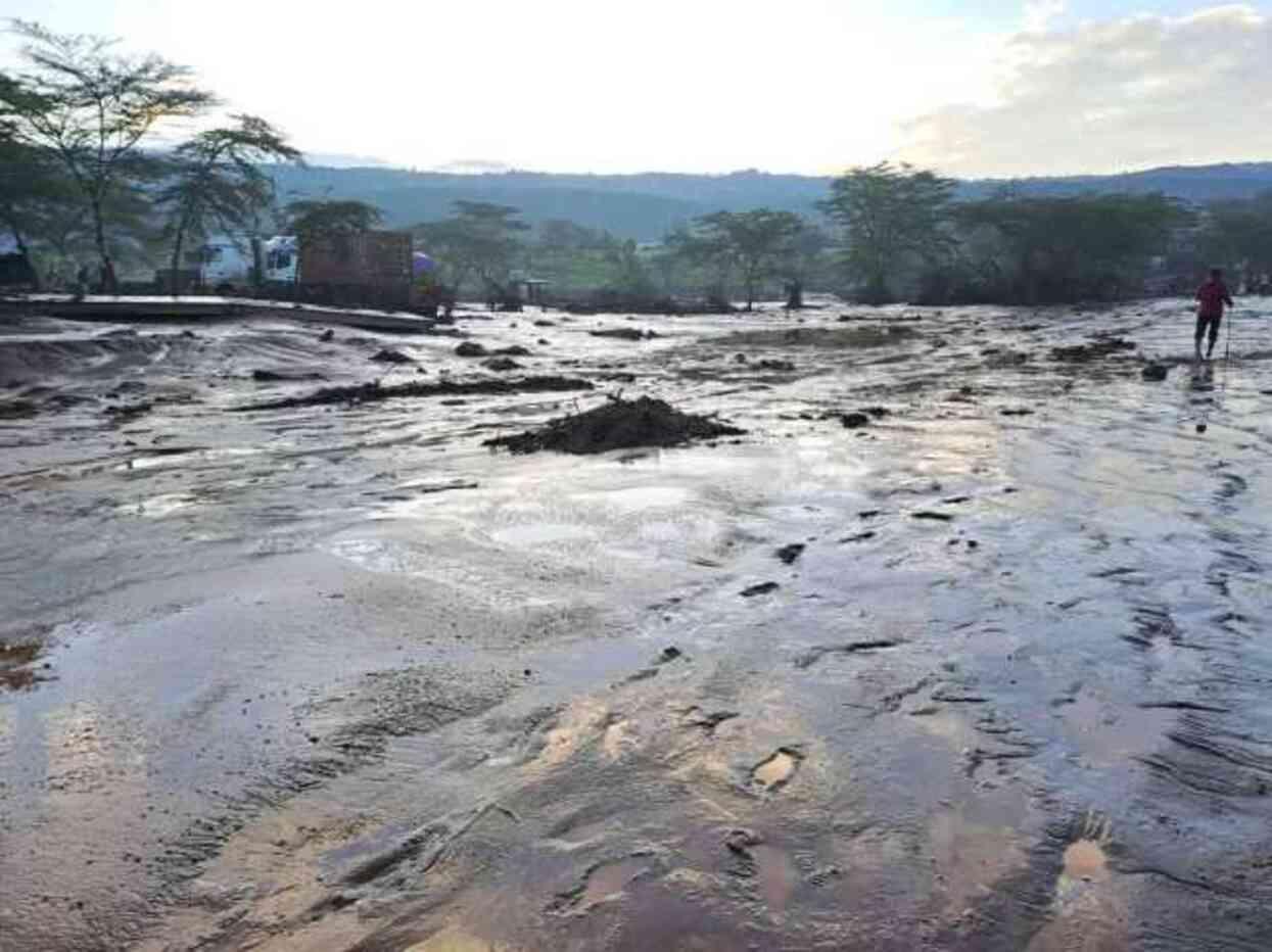 Kenya'da sel felaketinde ölü sayısı 289'a yükseldi