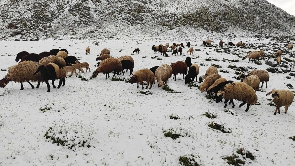 Bitlis\'te Mayıs Ayında Kar Yağışı