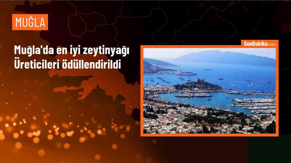 Muğla\'da düzenlenen 5. Zeytinyağı Kalite Yarışması sonuçlandı