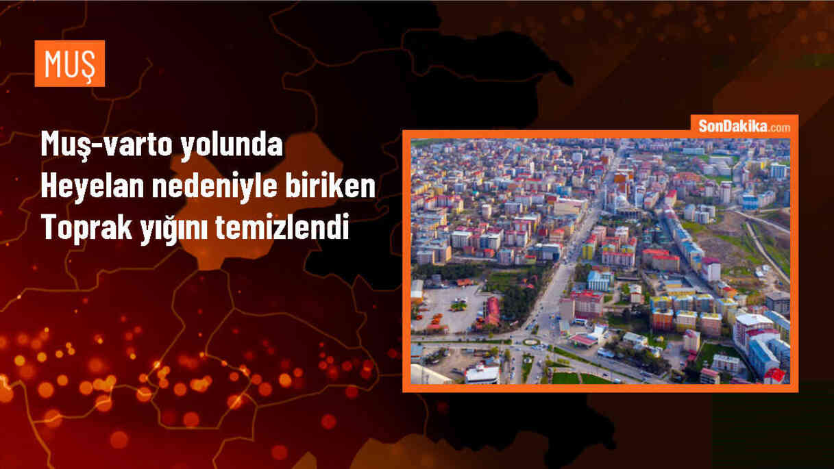 Muş-Varto kara yolunda heyelan: Toprak yığıntısı temizlendi