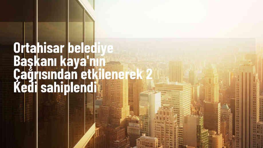 Ortahisar Belediye Başkanı\'nın kediyi sahiplenmesi, kadını etkiledi: 2 kediye yuva oldu
