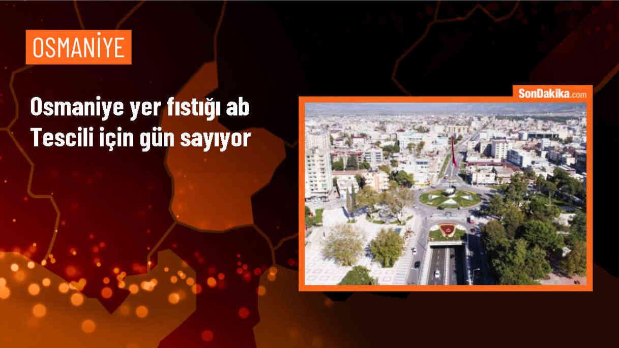 Osmaniye Yer Fıstığı AB Tescili İçin Son Aşamada