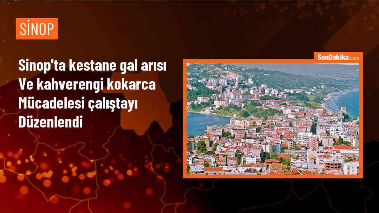 Sinop Üniversitesi\'nde Kestane Gal Arısı ve Kahverengi Kokarca Mücadelesi Çalıştayı düzenlendi