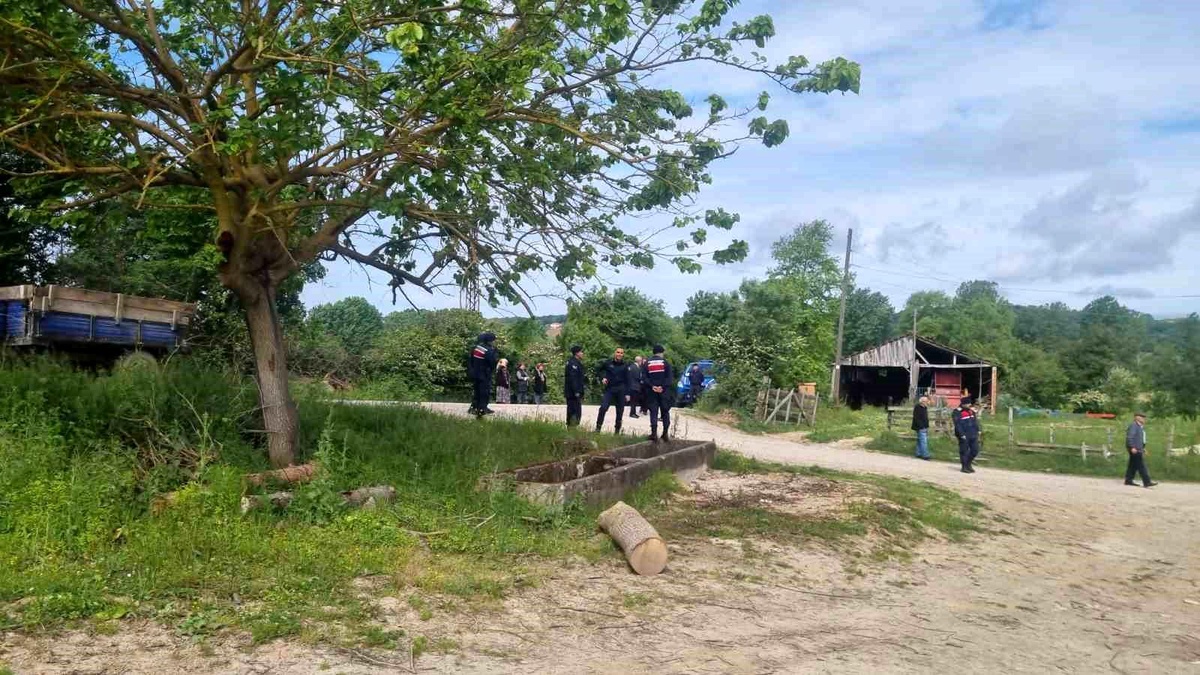 Sinop\'ta cinayetle ilgili olay mahallinde tatbikat yapıldı