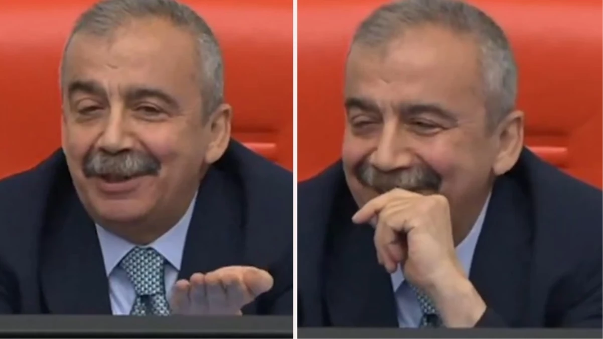 TBMM Başkanvekili Sırrı Süreyya Önder\'den gülümseten sözler: Ben bir cevap vereceğim internete düşeceğiz
