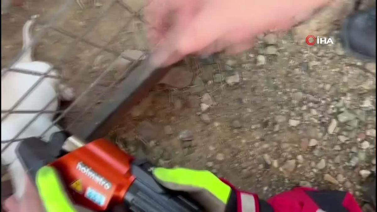 Tel kafese sıkışan yavru köpek kurtarıldı