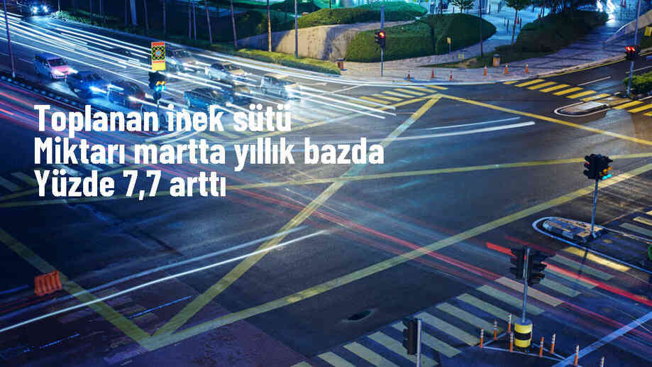 Türkiye\'de İnek Sütü Üretimi Arttı