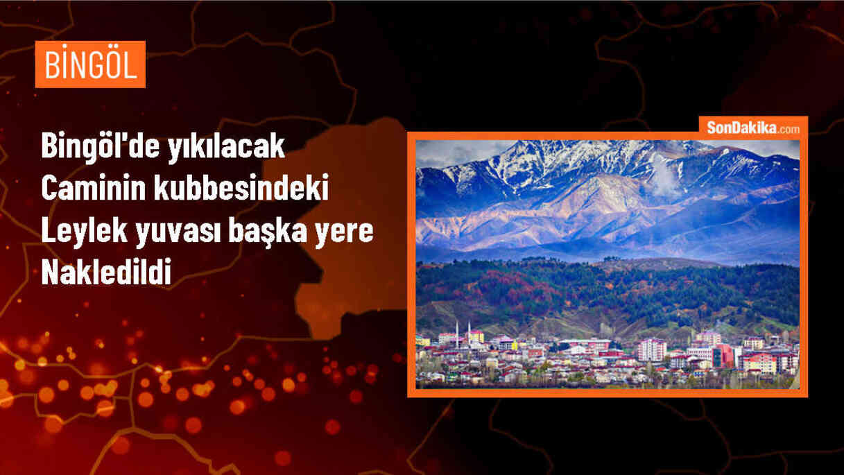 Bingöl\'de depreme karşı yıkılacak caminin kubbesindeki leylek yuvası başka bir çatıya taşındı