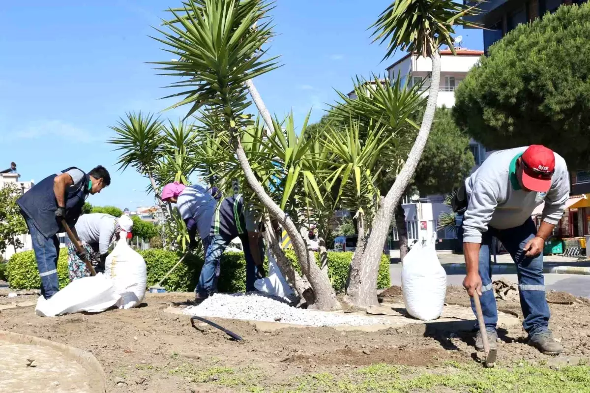 Burhaniye Belediyesi Park ve Bahçeler Müdürlüğü, Yaz Mevsimi Öncesi Hazırlıklarını Sürdürüyor