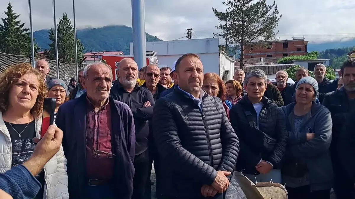 Artvin\'de Çay Üreticileri Fiyat Protestosu Yaptı