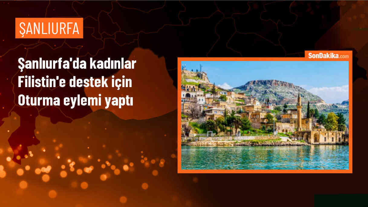 Şanlıurfa\'da kadınlar İsrail\'in Filistin\'e yönelik saldırılarını protesto etti