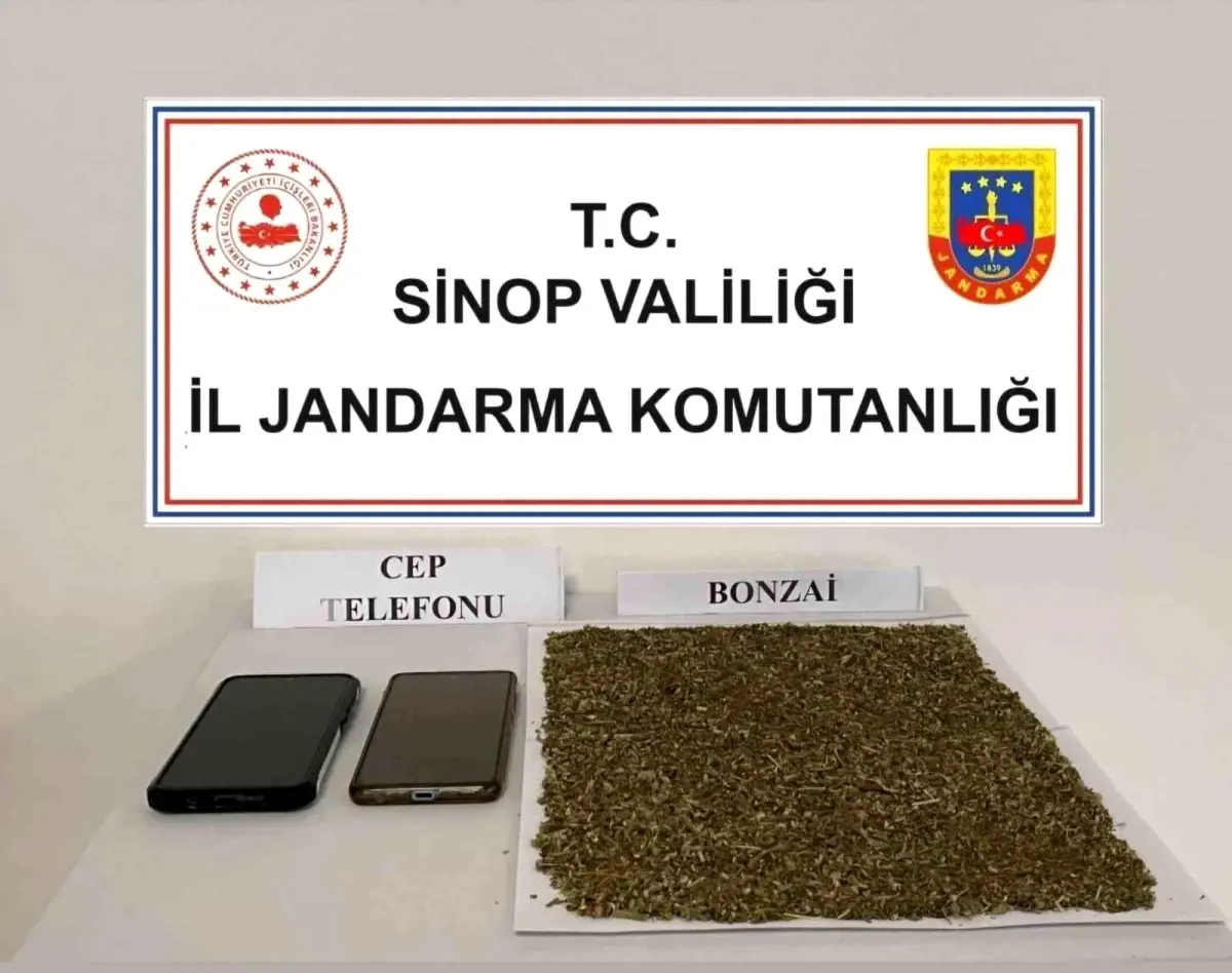 Sinop\'ta yapılan operasyonda 80 gram bonzai ele geçirildi