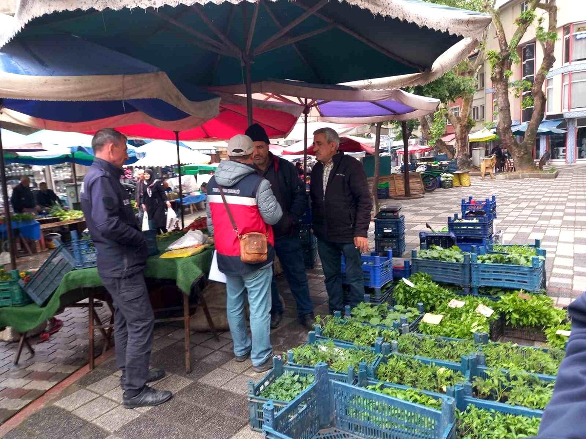 Tavşanlı\'da Fide Satışı Yapanlar Denetlendi