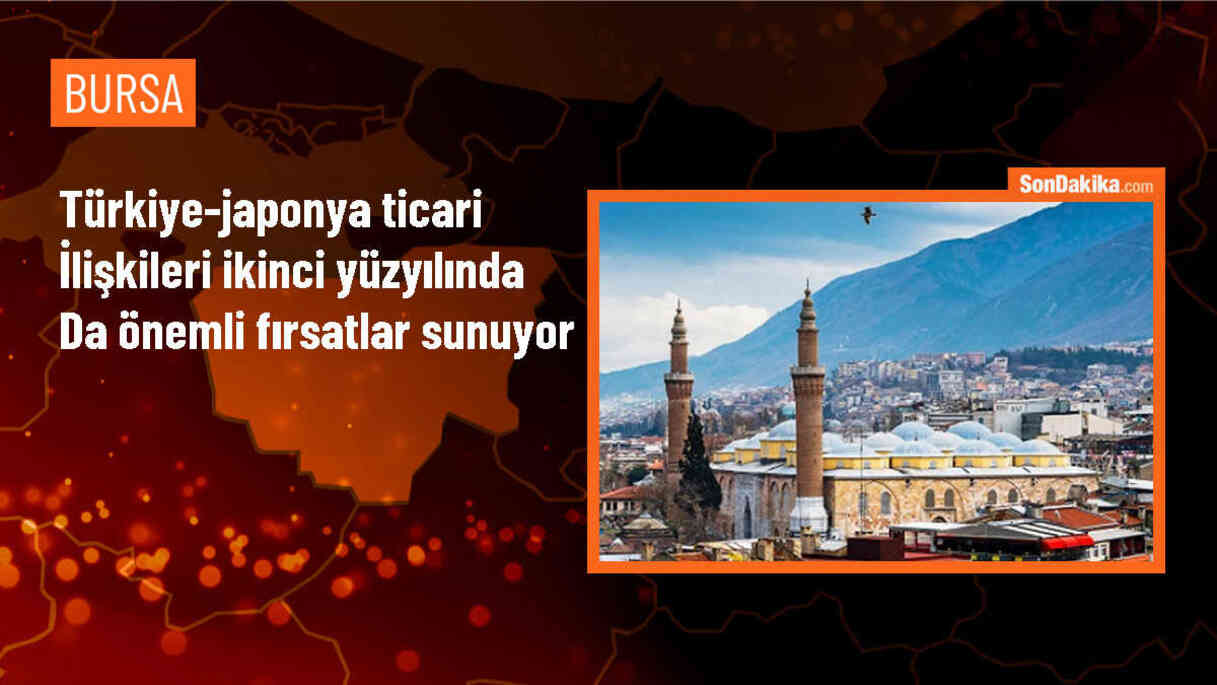 Türkiye ile Japonya Arasındaki Ticari İlişkilerin Önemi