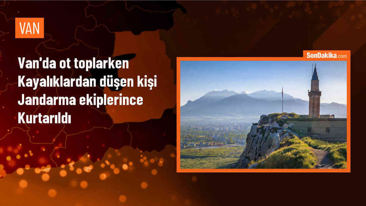 Van\'ın Çatak ilçesinde ot toplarken kayalıklardan düşen kişi jandarma ekiplerince kurtarıldı