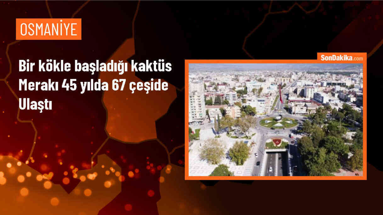 Yunus Gedik, 45 yılda 60\'tan fazla kaktüs türü yetiştirdi