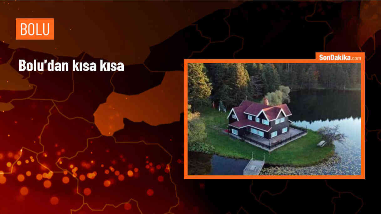 Bolu\'da kamyon şarampole devrildi, tırda yangın çıktı