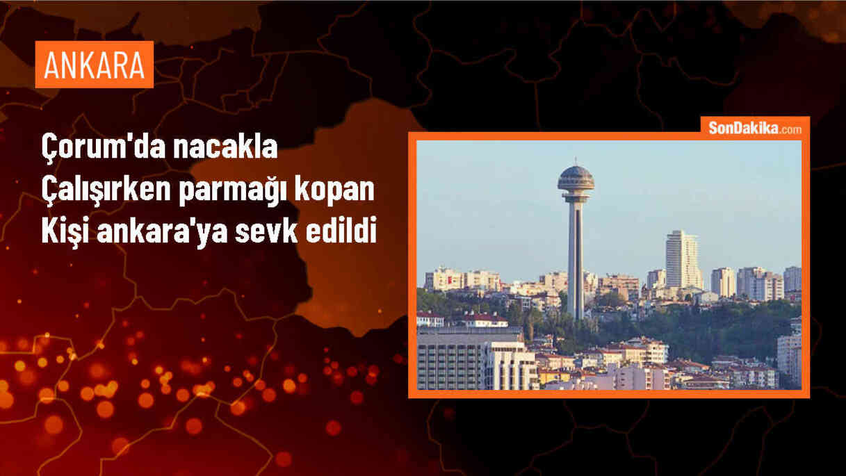 Çorum\'un Kargı ilçesinde parmağı kopan kişi Ankara\'ya sevk edildi