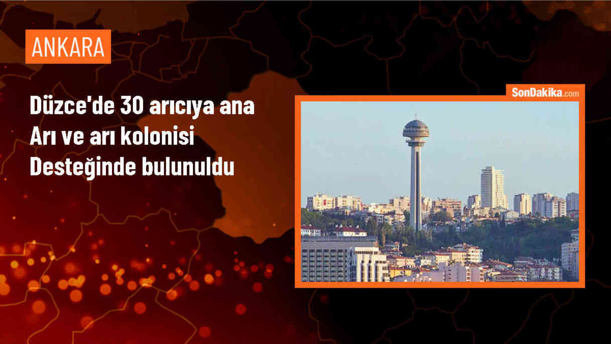 Düzce\'de Kestane Ormanlarında Arıcılık Projesiyle 30 Arıcıya Destek