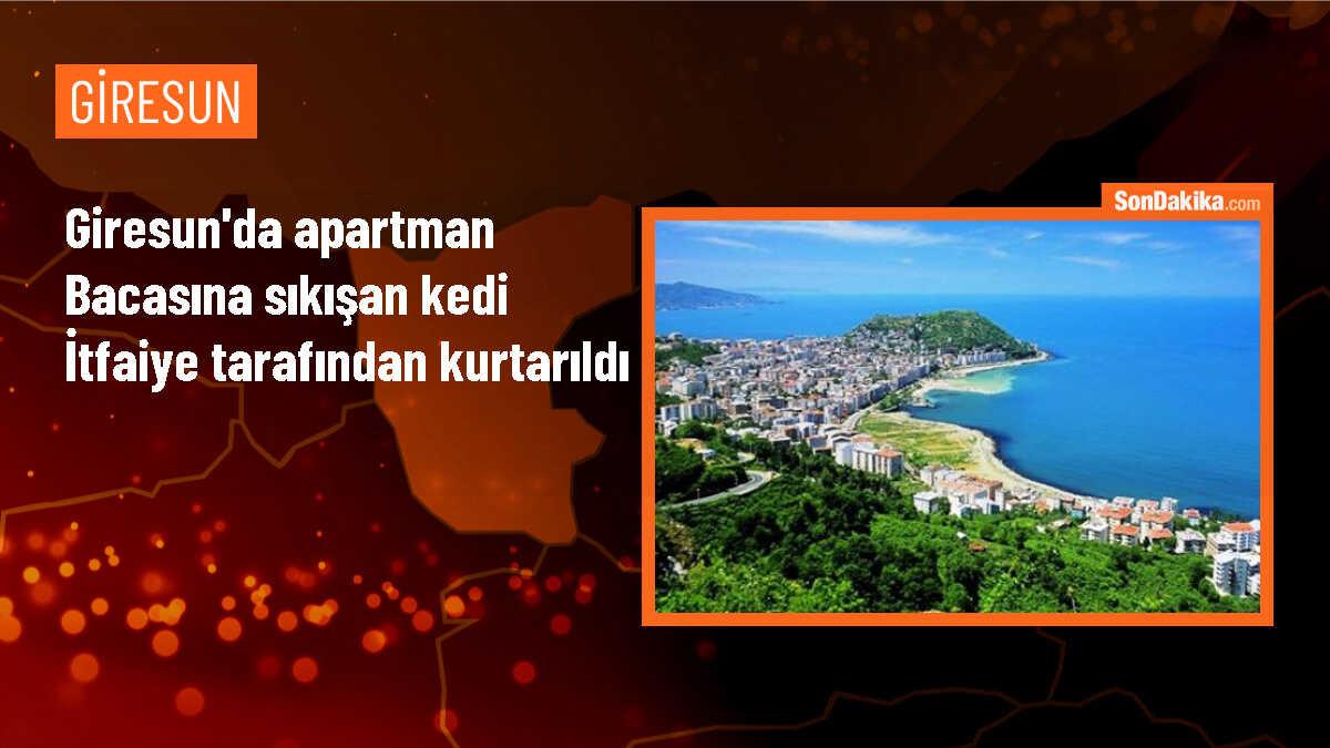 Giresun\'da Bacaya Sıkışan Kedi İtfaiye Ekipleri Tarafından Kurtarıldı