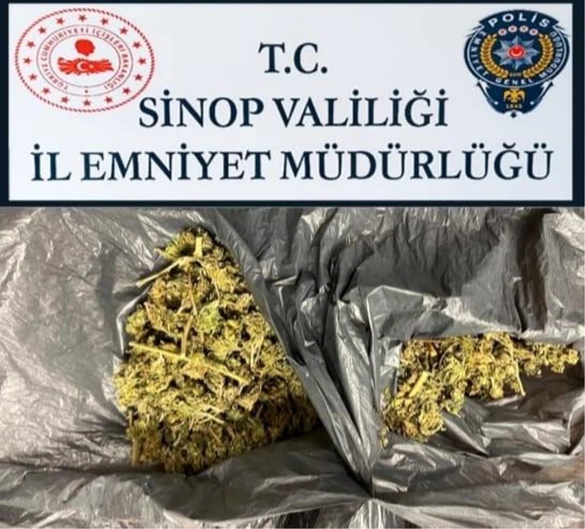 Sinop\'ta yapılan uygulamada 35 gram esrar ele geçirildi