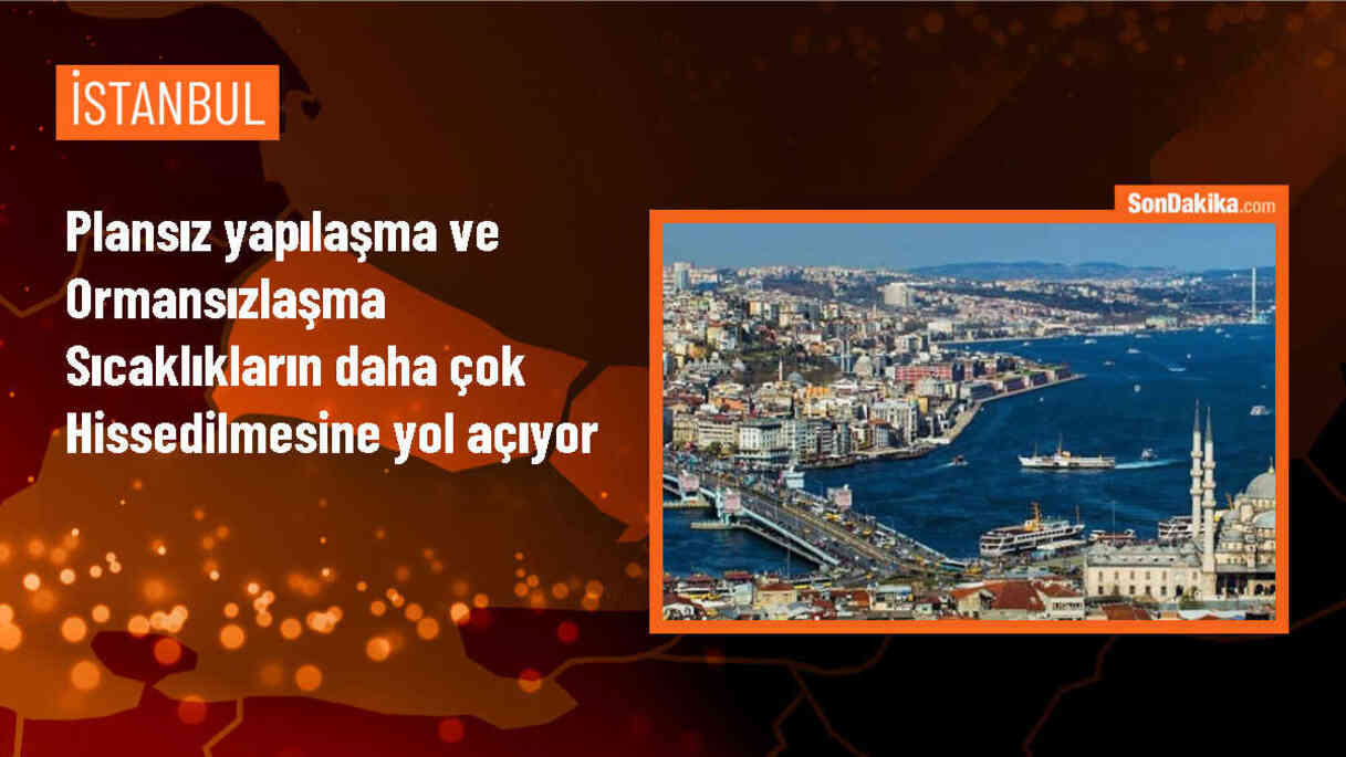İstanbul\'da plansız kentleşme ve ormansızlaşma sıcaklıkları artırıyor