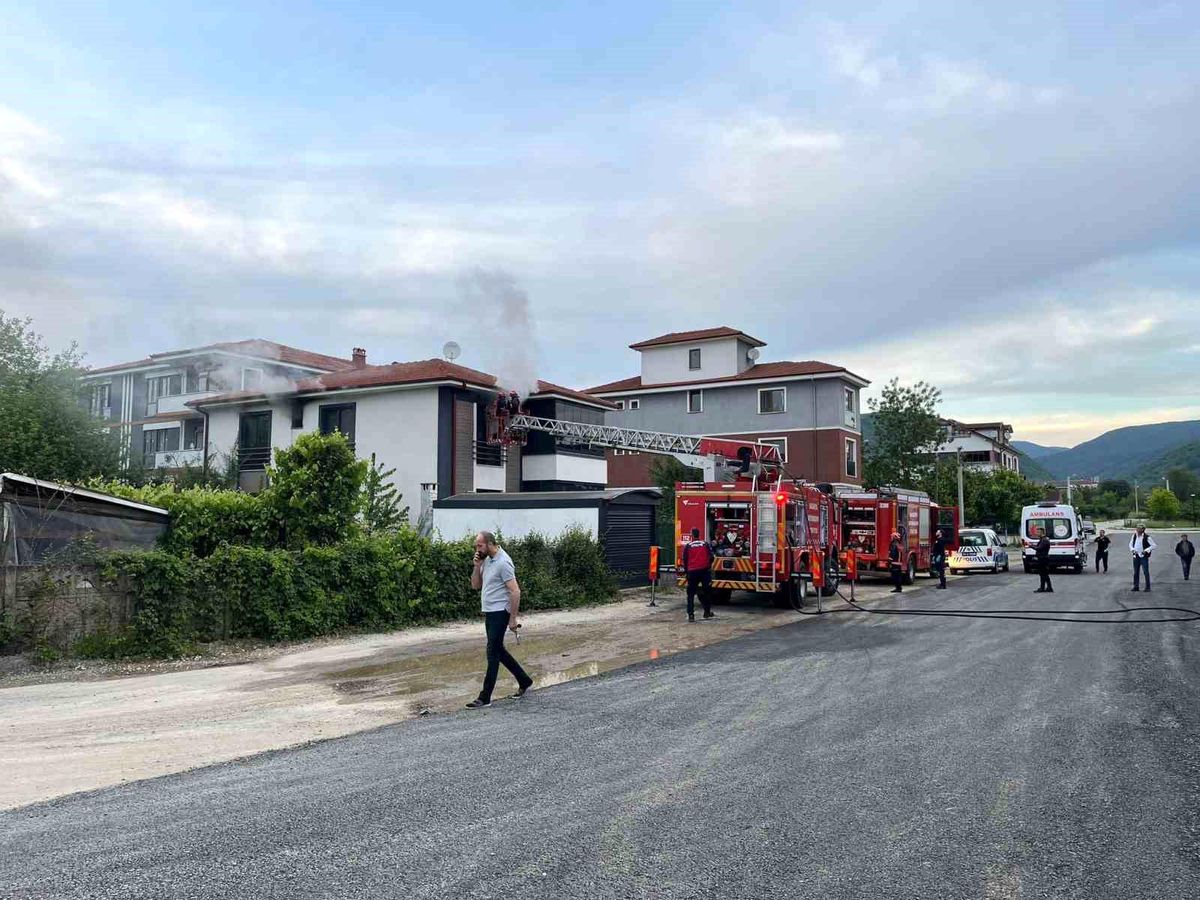 Sakarya\'da çıkan yangın itfaiye ekiplerince söndürüldü
