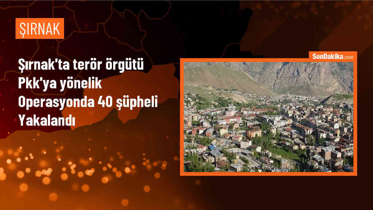 Şırnak\'ta PKK\'ya yönelik operasyonda 40 şüpheli gözaltına alındı
