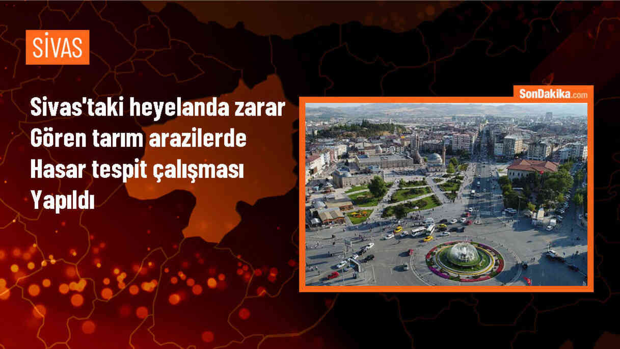 Sivas\'ın Akıncılar ilçesinde heyelan nedeniyle tarım arazisinde hasar tespiti yapıldı