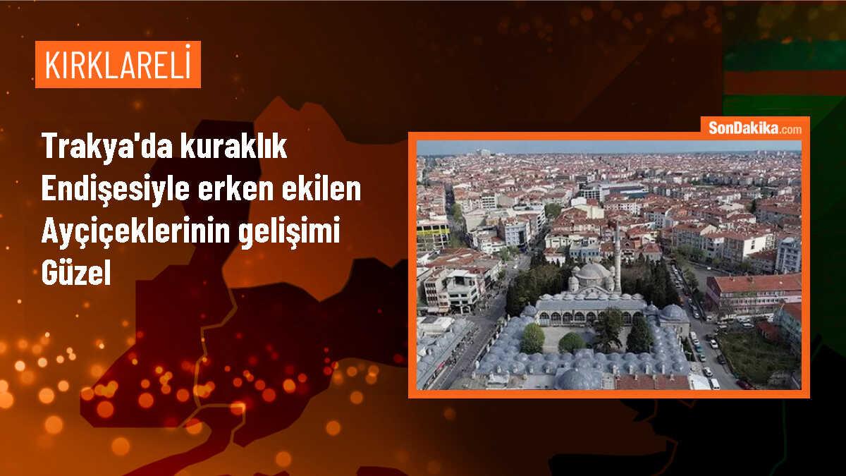 Trakya\'da Erken Ekilen Ayçiçeği Çiftçilerin Stresini Azalttı