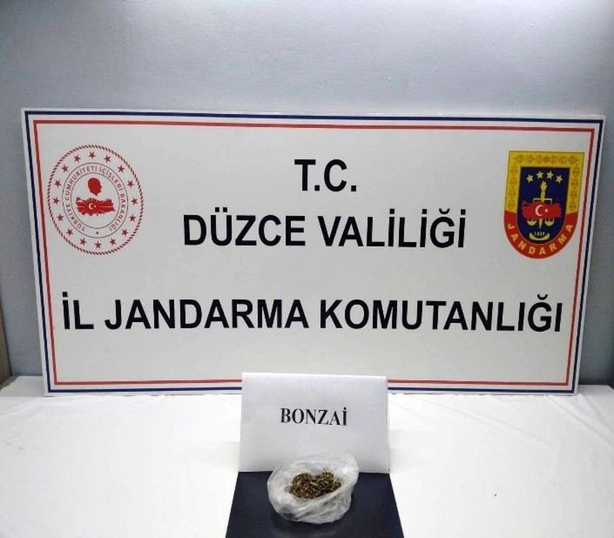 Düzce\'de Jandarma Operasyonu: 13 Kişi Hakkında Adli Tahkikat Başlatıldı