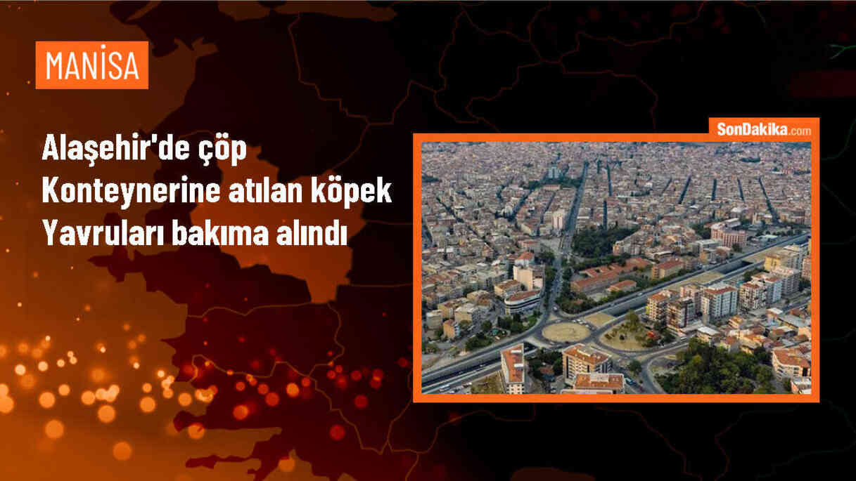 Manisa\'da öğrenciler çöp konteynerinde bulunan köpek yavrularını tedavi ettirdi