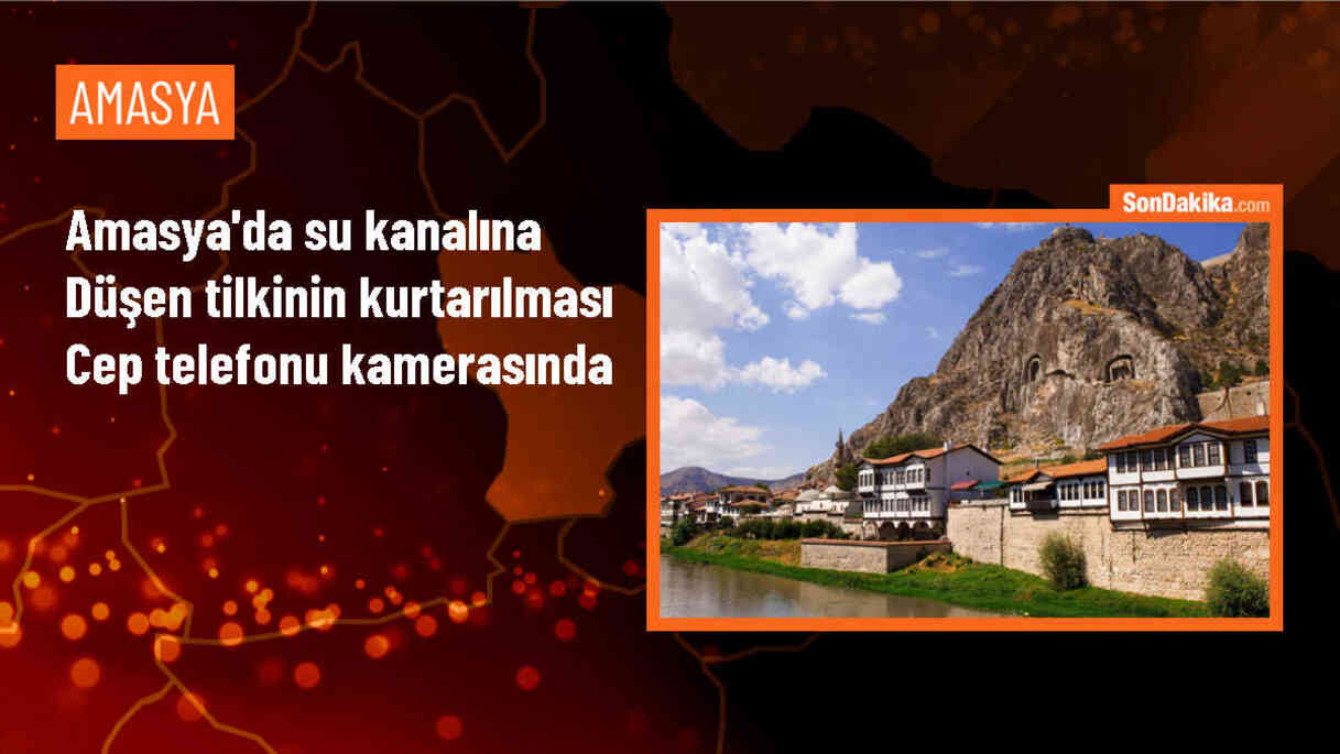 Amasya\'da su kanalına düşen tilki yavrusu kurtarıldı