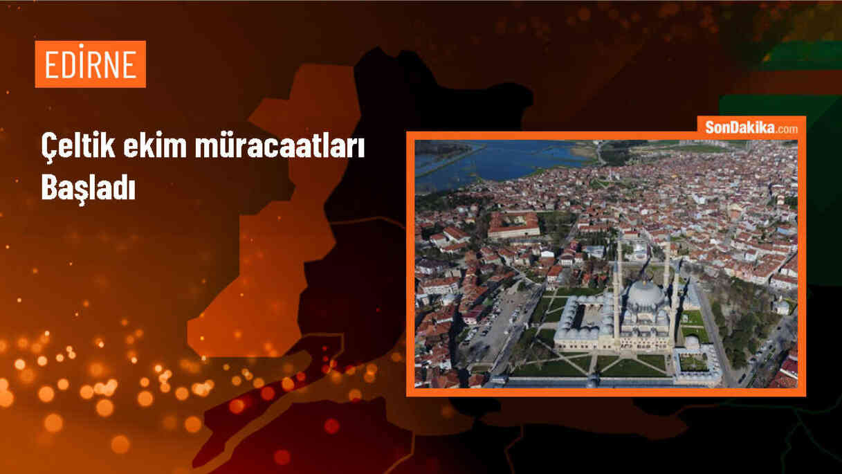 2024 Yılı Çeltik Ekim Başvuruları Başladı