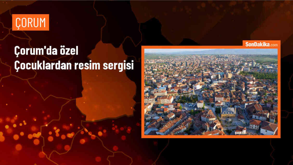 Çorum\'da Engelliler Haftası dolayısıyla \'Yetenekli kalpler tualde buluşuyor\' konulu resim sergisi açıldı