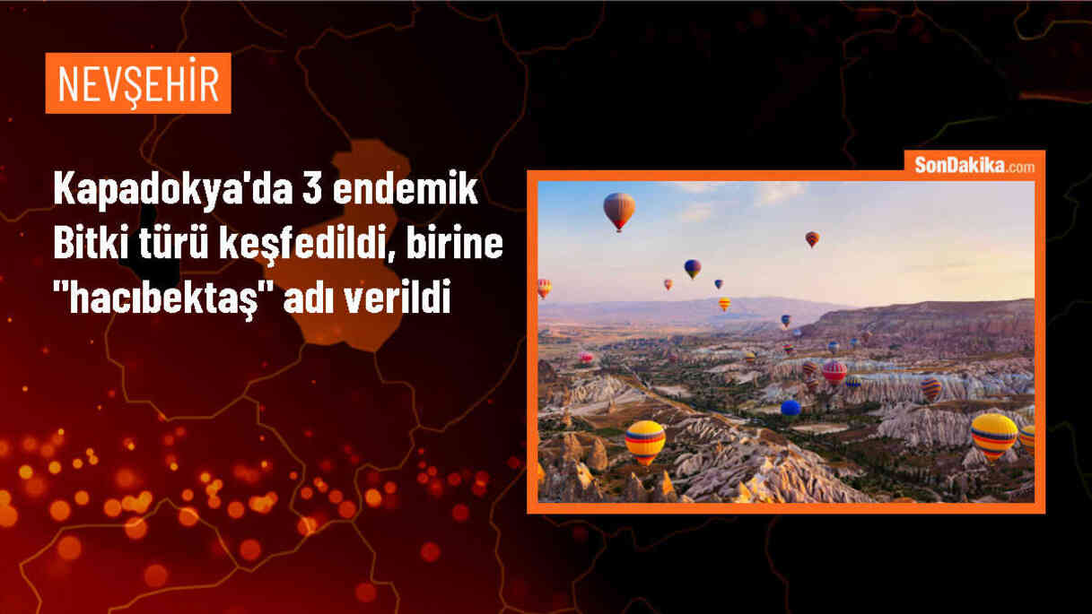 NEVÜ Botanik Ana Bilim Dalı Başkanı, Kapadokya\'da Üç Yeni Bitki Türü Keşfetti