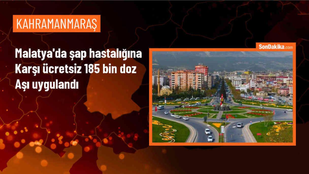 Malatya\'da Şap Hastalığına Karşı 185 Bin Doz Aşı Yapıldı