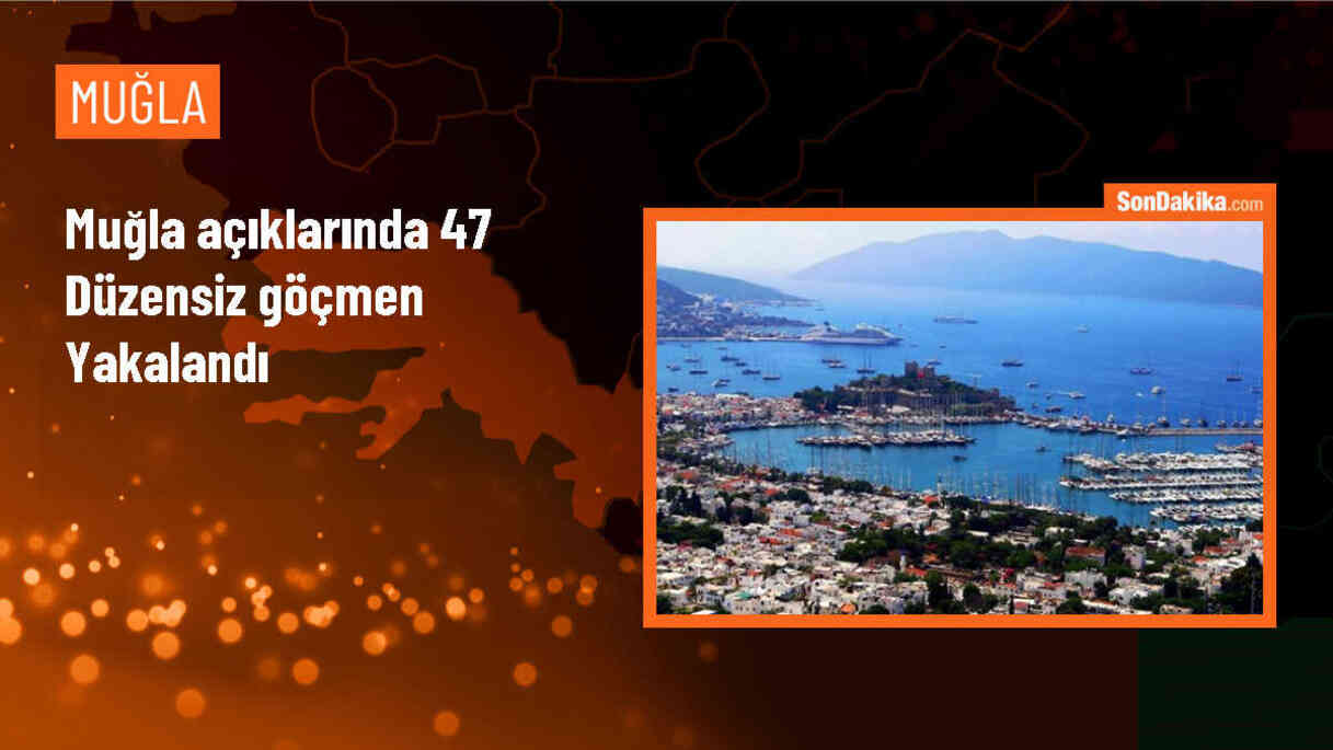 Bodrum\'da 47 düzensiz göçmen yakalandı