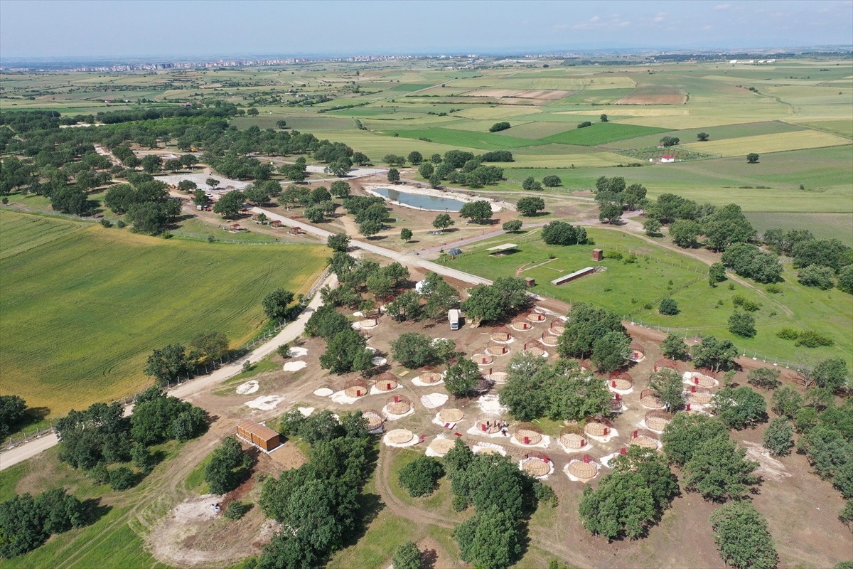 Edirne\'deki Musabeyli Korusu Mesire Alanı Yakında Hizmete Açılıyor