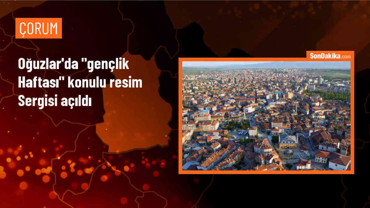 Çorum Oğuzlar İlçesinde Gençlik Haftası Kutlamaları Kapsamında Resim Sergisi Açıldı