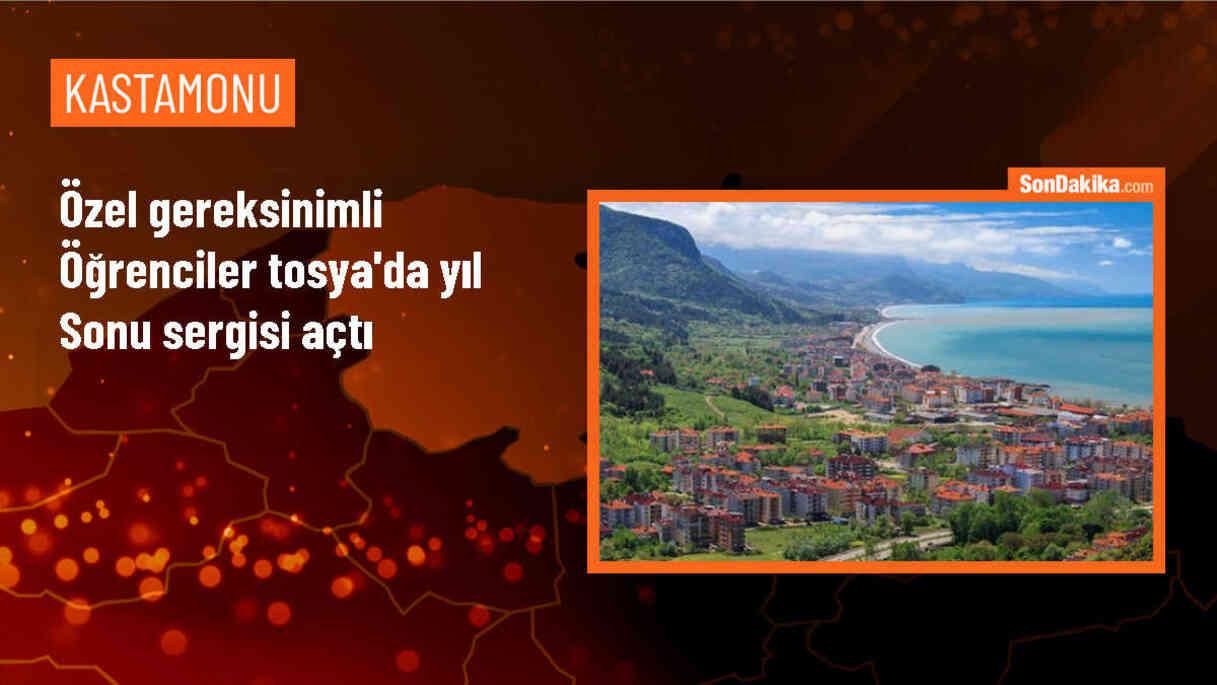 Engelliler Haftası dolayısıyla Kastamonu\'nun Tosya ilçesinde yıl sonu sergisi düzenlendi