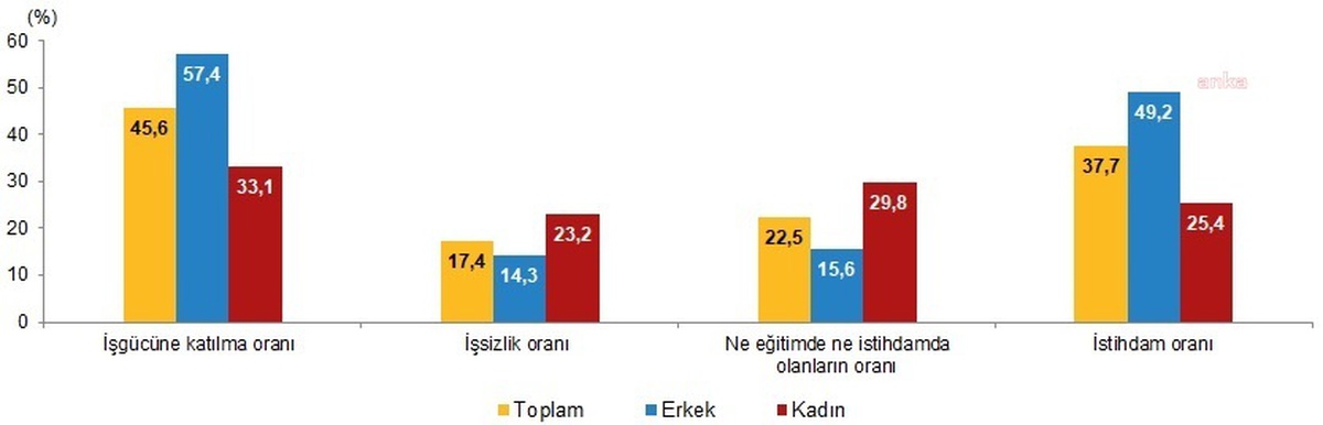 Türkiye\'deki Genç Nüfusun Beşte Biri Ne Çalışıyor Ne de Eğitim Alıyor