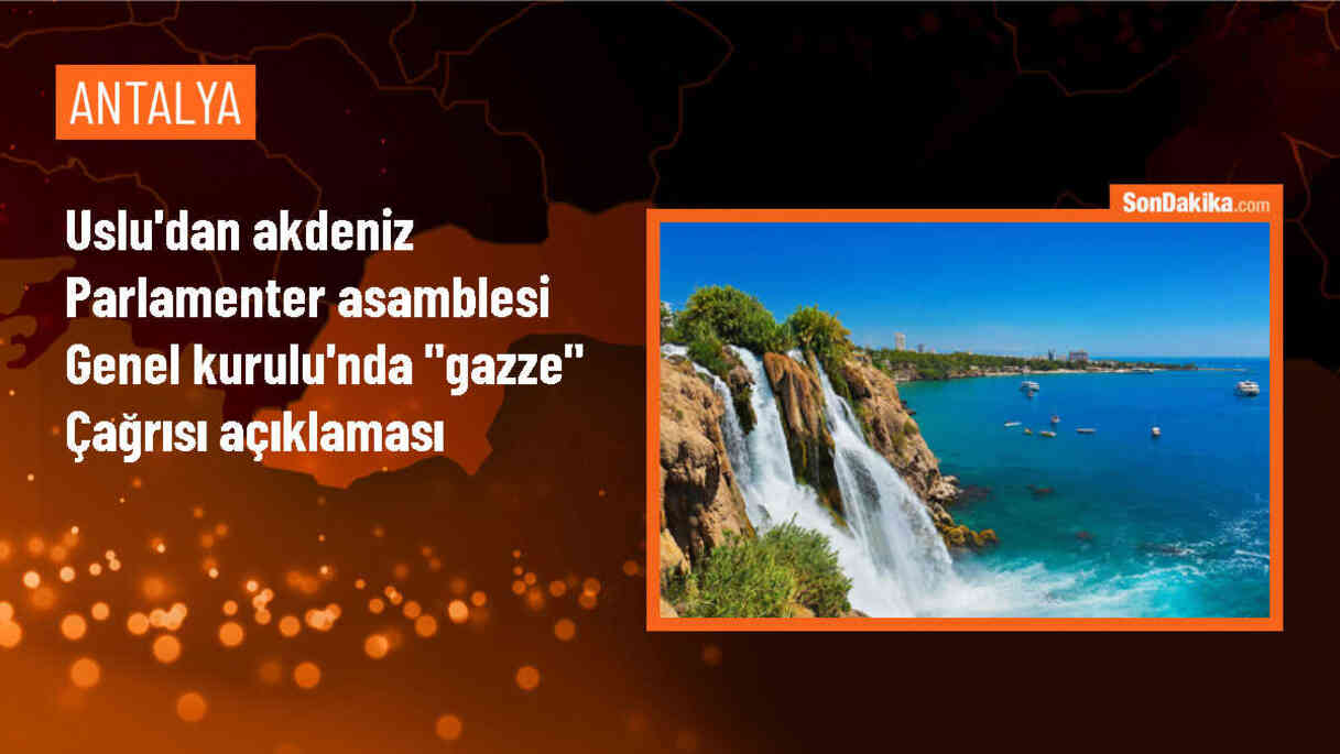 Akdeniz Parlamenter Asamblesi Türk Delegasyonu Başkanı Gazze\'nin Koruma Altına Alınması Gerektiğini Bildirdi