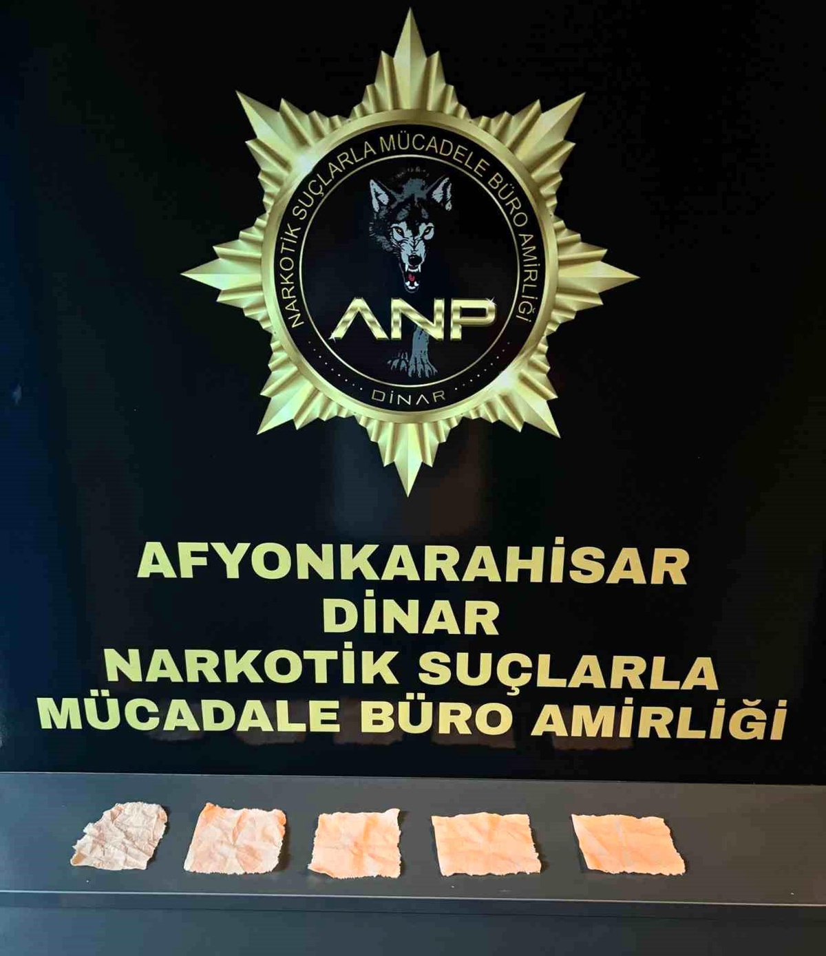 Afyonkarahisar\'da polis tarafından bonzai ile yakalanan 2 kişi tutuklandı